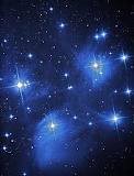 images_031